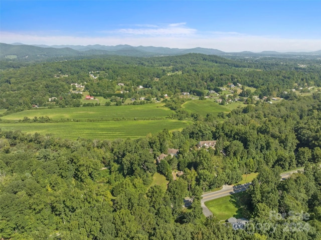 birds eye view of property featuring a mountain view