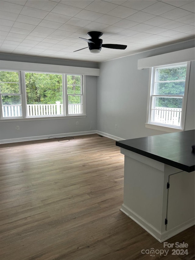 interior space featuring plenty of natural light, ceiling fan, and hardwood / wood-style flooring