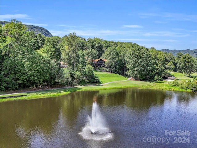 view of water feature