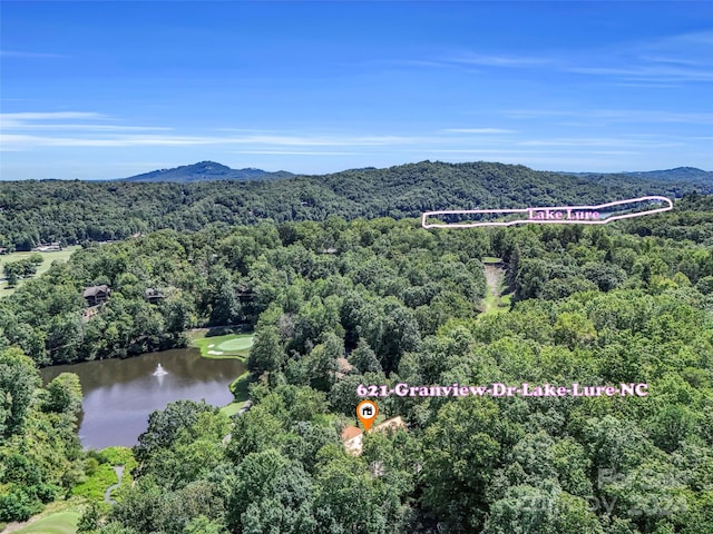 drone / aerial view featuring a water and mountain view