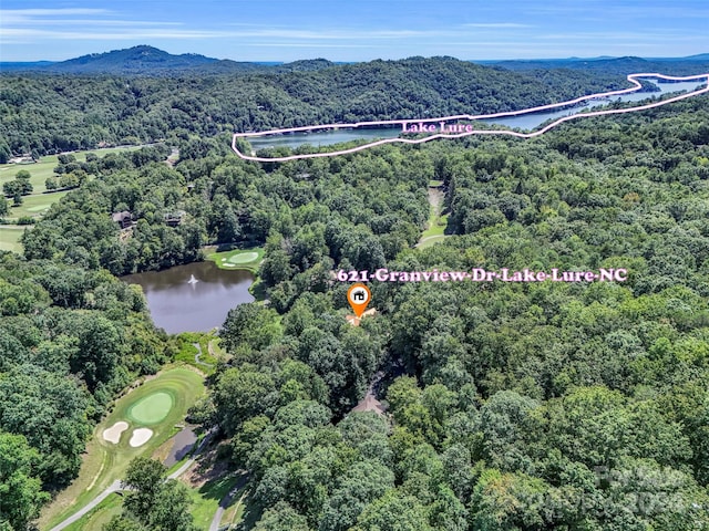 bird's eye view featuring a water and mountain view