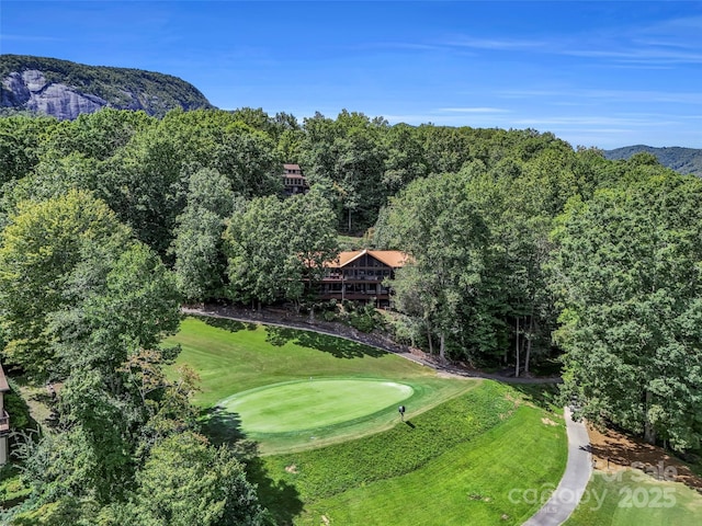 aerial view featuring a forest view and a mountain view