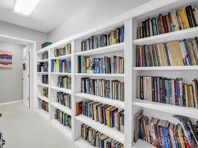 room details featuring a textured ceiling, carpet flooring, and baseboards