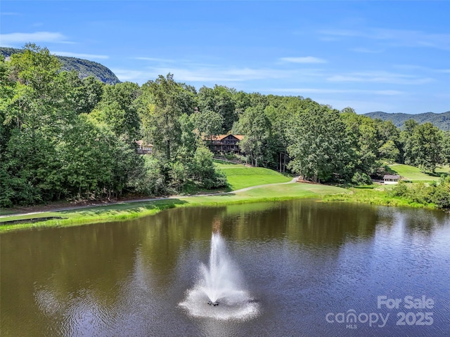 property view of water featuring a mountain view