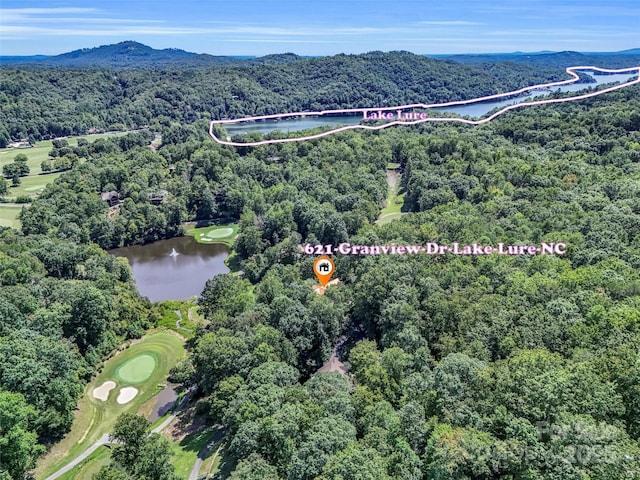 aerial view featuring a water view and a forest view