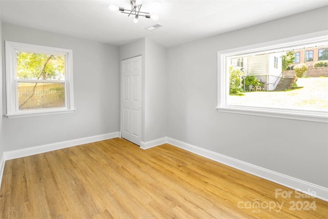 spare room featuring plenty of natural light and light hardwood / wood-style flooring