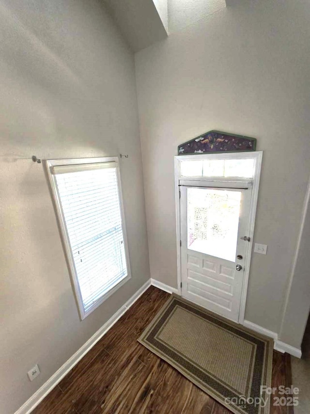 foyer entrance with dark hardwood / wood-style floors