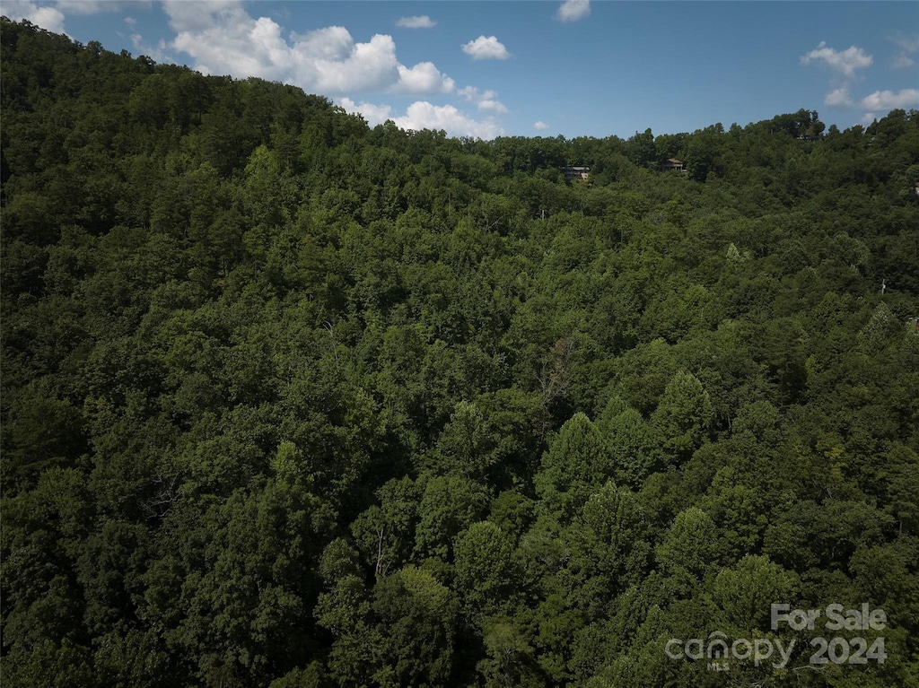 0 Horse Branch Rd, Bryson City, NC 28713