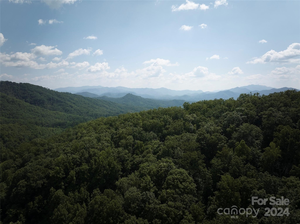 0 Horse Branch Rd, Bryson City, NC 28713