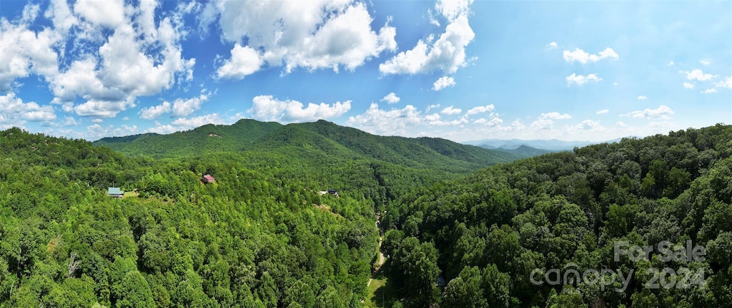 0 Horse Branch Rd, Bryson City, NC 28713