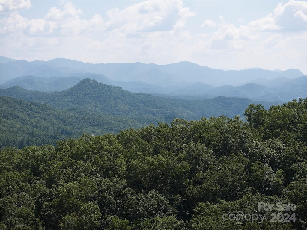 0 Horse Branch Rd, Bryson City, NC 28713