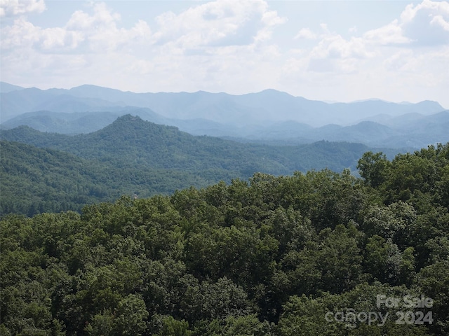 0 Horse Branch Rd, Bryson City, NC 28713