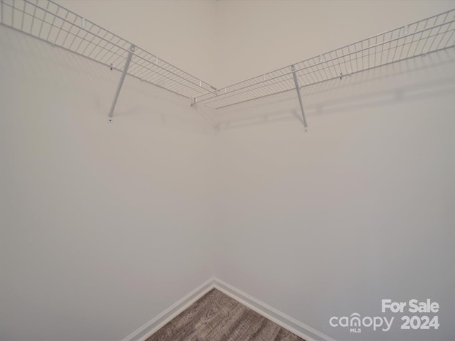 walk in closet featuring wood-type flooring