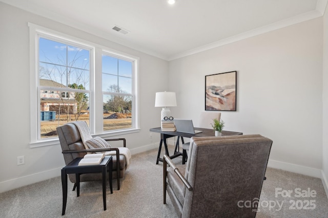 carpeted home office featuring ornamental molding