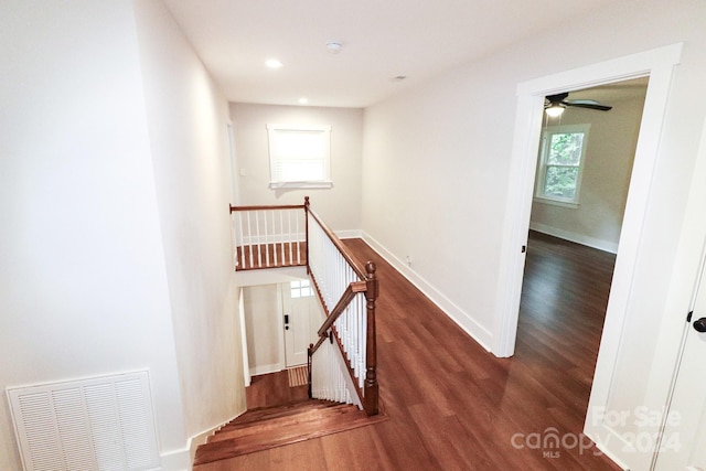 stairway with hardwood / wood-style floors