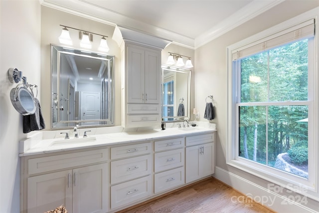 bathroom with crown molding, vanity, and hardwood / wood-style flooring