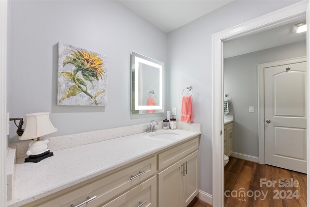 bathroom with vanity and wood-type flooring