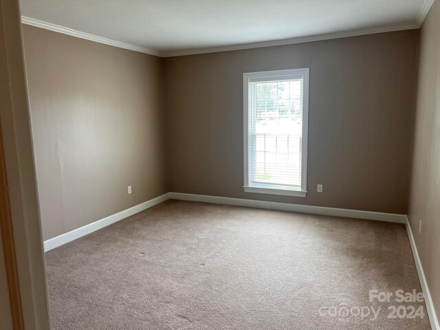 carpeted empty room featuring baseboards and ornamental molding