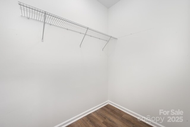 walk in closet with hardwood / wood-style floors