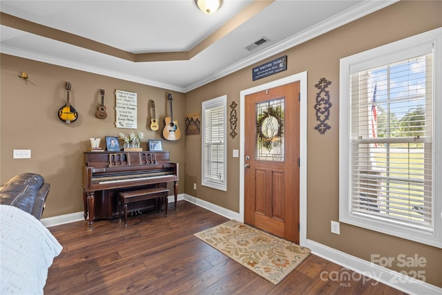 foyer entrance featuring crown molding, dark hardwood / wood-style floors, a raised ceiling, and a wealth of natural light