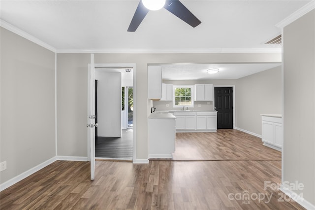 interior space featuring hardwood / wood-style flooring, sink, ceiling fan, and white cabinetry