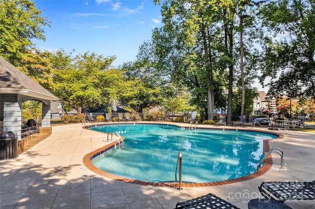 view of pool featuring a patio