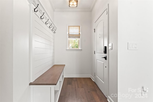 mudroom featuring dark wood-type flooring and ornamental molding