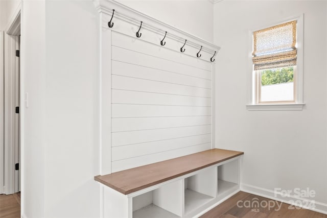 mudroom featuring dark wood-type flooring