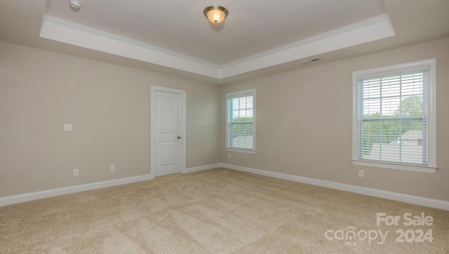 carpeted spare room with a tray ceiling and ornamental molding