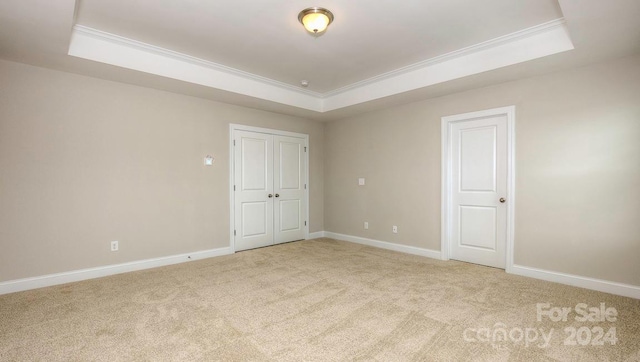 carpeted empty room with a tray ceiling and crown molding