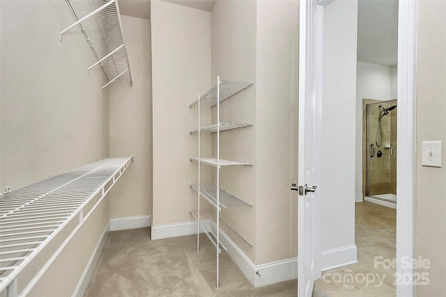 walk in closet featuring light colored carpet