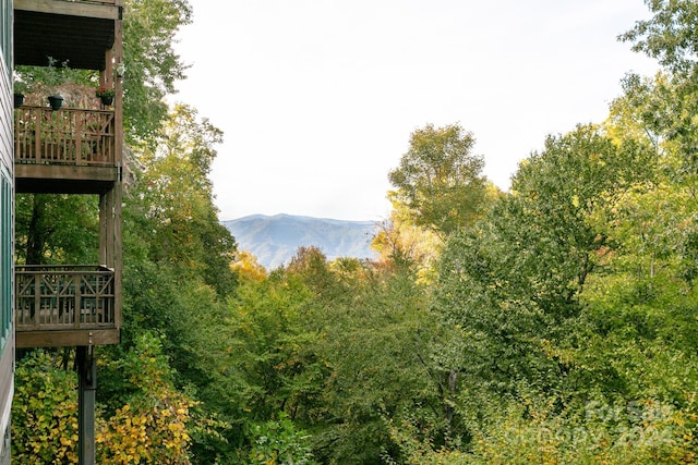 view of mountain feature