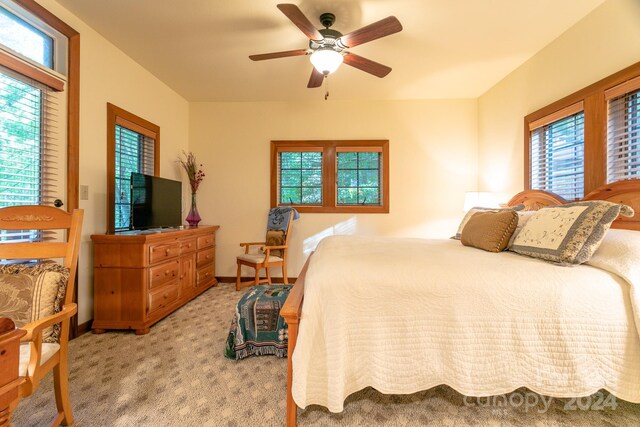 carpeted bedroom with multiple windows and ceiling fan