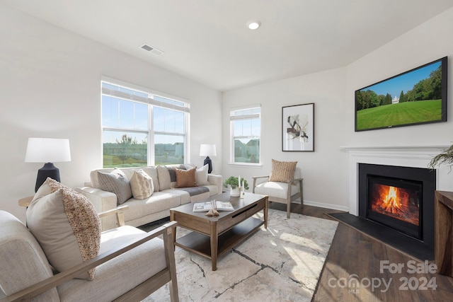 living room featuring hardwood / wood-style floors