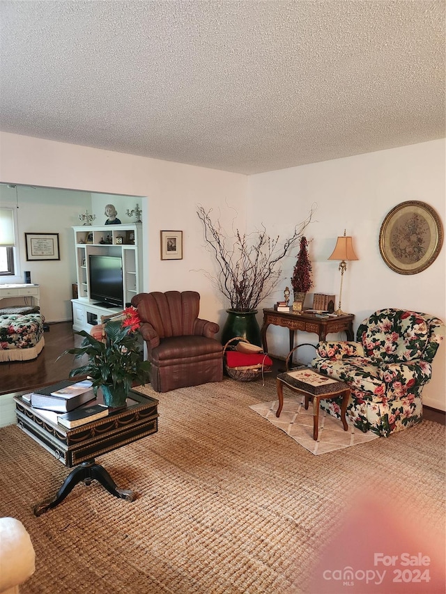 living room featuring carpet and a textured ceiling