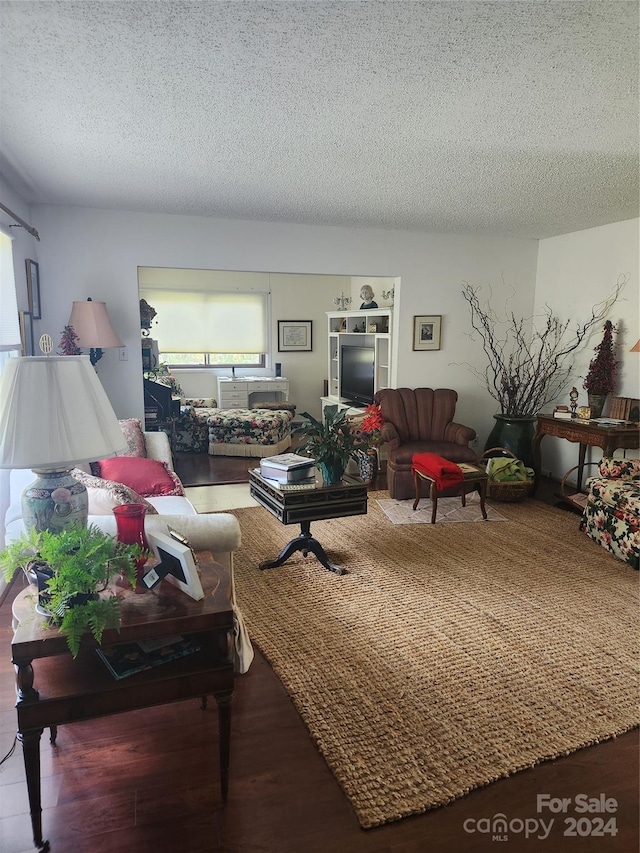 living room with a textured ceiling and hardwood / wood-style flooring