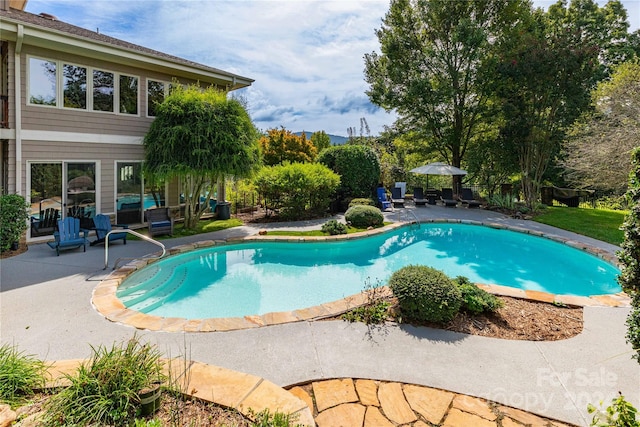 view of pool with a patio area