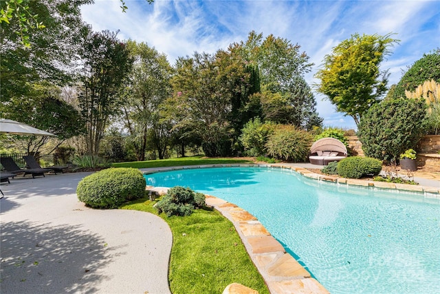 view of pool featuring a patio area