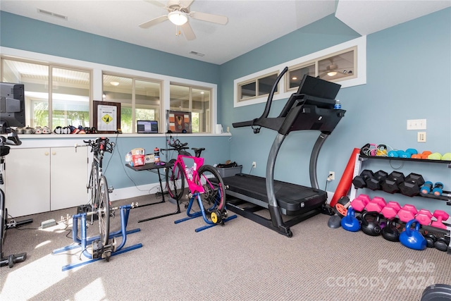 exercise area with carpet flooring and ceiling fan