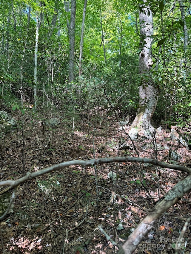 TBD Cutshall Town Rd, Marshall, NC 28753