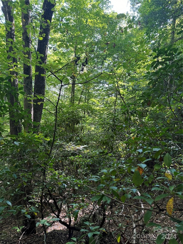 TBD Cutshall Town Rd, Marshall, NC 28753
