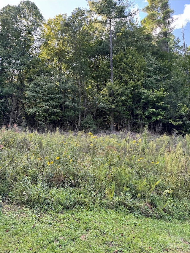 TBD Cutshall Town Rd, Marshall, NC 28753