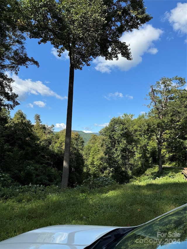 TBD Cutshall Town Rd, Marshall, NC 28753
