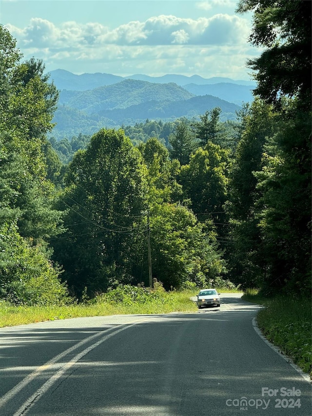 TBD Cutshall Town Rd, Marshall, NC 28753