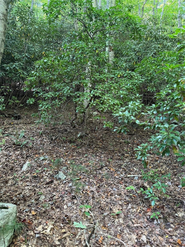 TBD Cutshall Town Rd, Marshall, NC 28753
