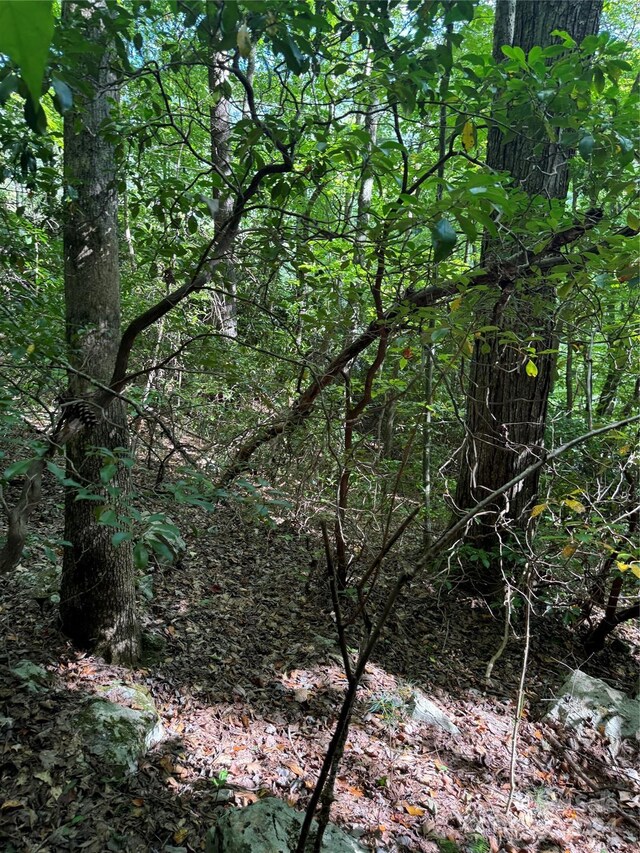 TBD Cutshall Town Rd, Marshall, NC 28753