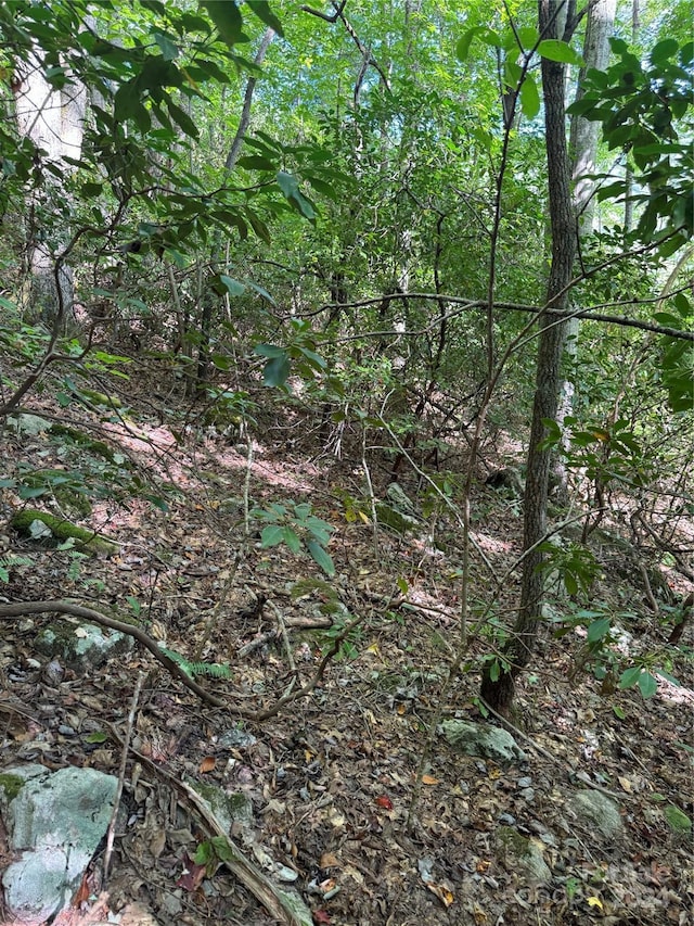 TBD Cutshall Town Rd, Marshall, NC 28753