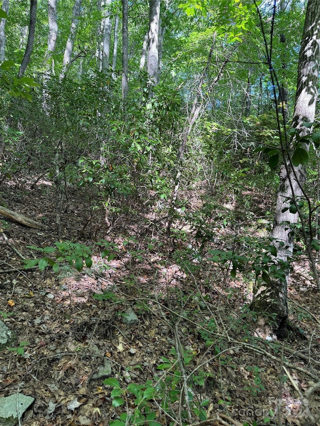 TBD Cutshall Town Rd, Marshall, NC 28753