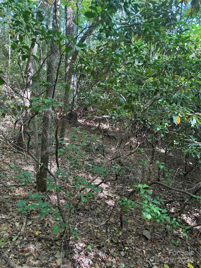 TBD Cutshall Town Rd, Marshall, NC 28753