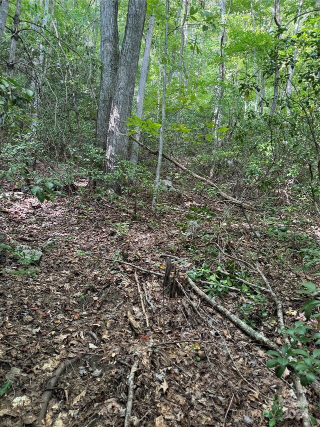 TBD Cutshall Town Rd, Marshall, NC 28753